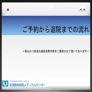 避妊去勢手術（入院〜退院までの流れ）