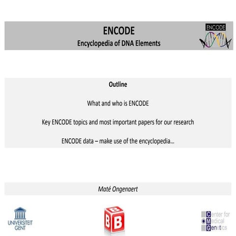ENCODE project: brief summary of main findings | PPT