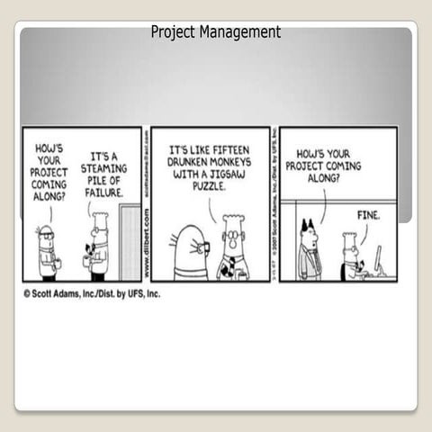 Project Management under PMI perspective