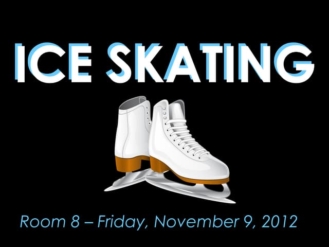 Ice Skating - November 9, 2012