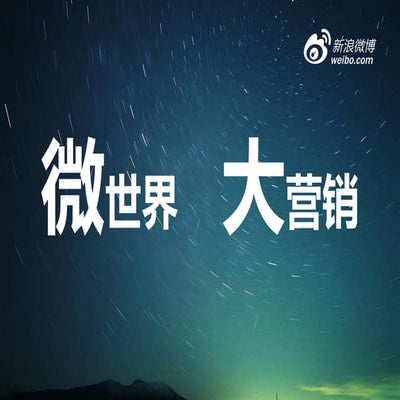 微世界 大营销 (来自2012年6月大社会化行业分享会上海站_新浪网_洪力周)