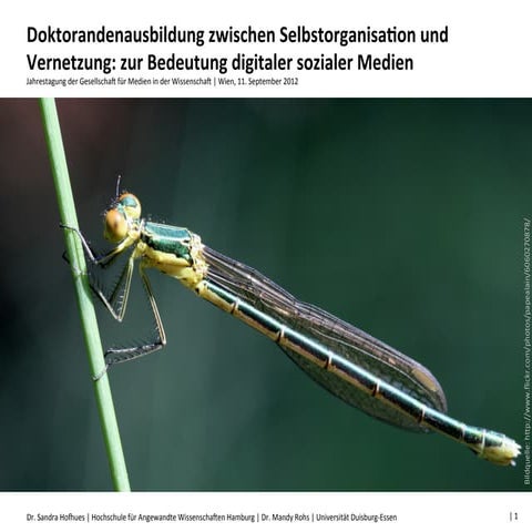 Doktorandenausbildung zwischen Selbstorganisation und Vernetzung: zur Bedeutu...