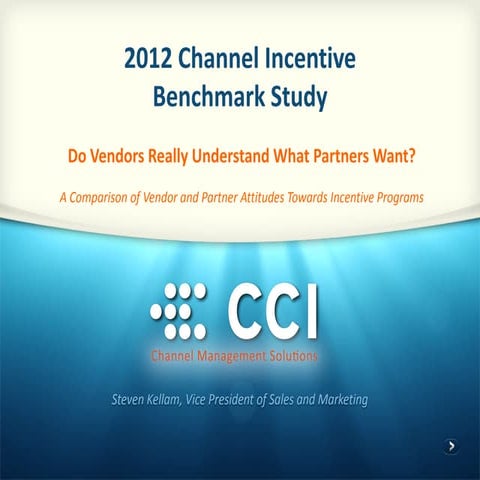 B2B Channel Incentive Benchmark Study