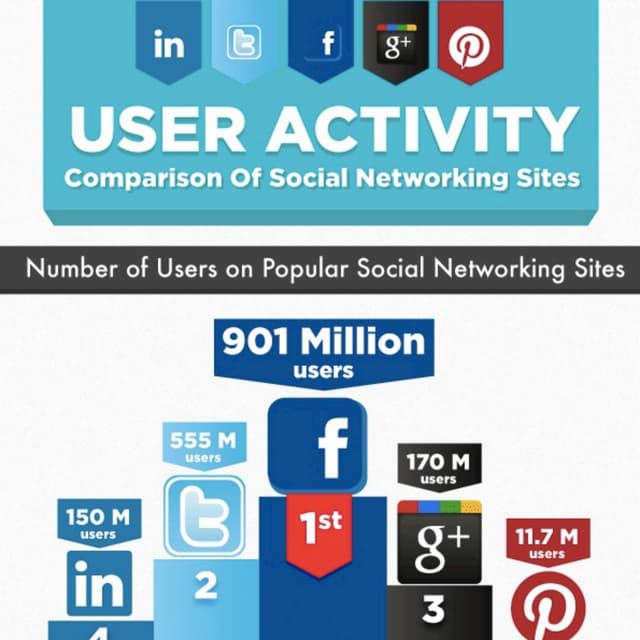 2012 Social Networking Users Infographic