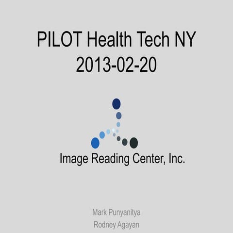 2013 02-20 nycedc pilot presentation