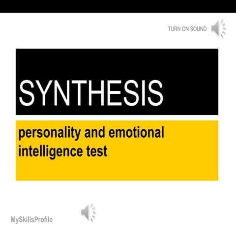 2013 03-28 Synthesis Questionnaire