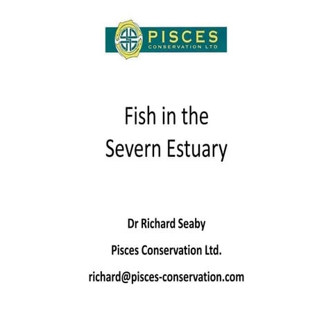 2013 03 fish in the severn estuary - richard seaby | PPTX
