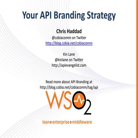 API Branding Strategy