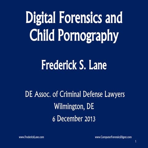 2013-12-06 Digital Forensics and Child Pornography