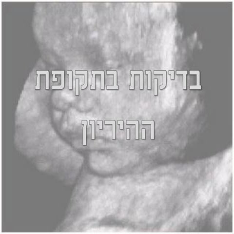 טיפולים בהיריון   מכון על קול 2013