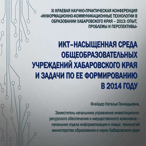 флейдер доклад 2013