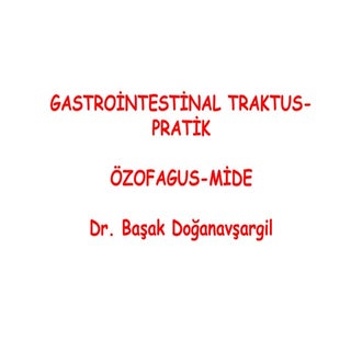 2013 2015 gis prati̇k-bd