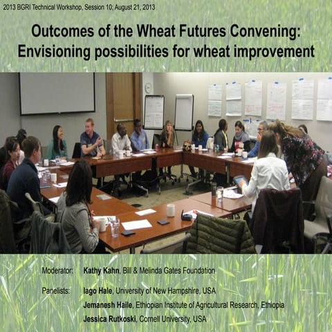 Outcomes of the Wheat Futures Convening: Envisioning Possibilities for Wheat ...