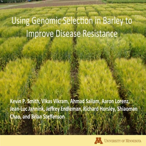 Using Genomic Selection in Barley to Improve Disease Resistance