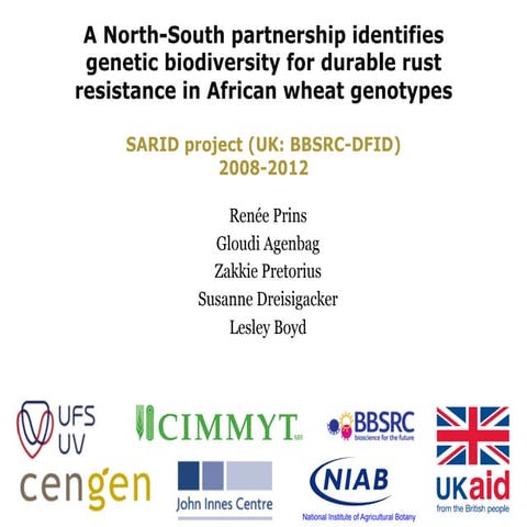 A North-South partnership Identifies Genetic Biodiversity for Durable Rust Re...