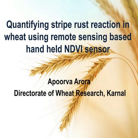Quantifying Stripe Rust Reaction in Wheat Using Remote Sensing Based Hand-hel...