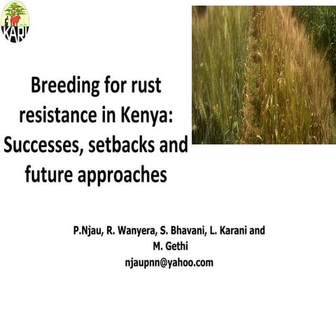 Breeding for Rust Resistance in Kenya: Successes, Setbacks, and Future Approa...