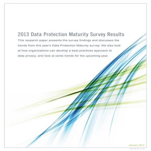 Data Protection Maturity Survey Results 2013 