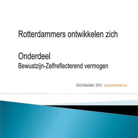 2013 deel8-rotterdam-bewustzijn