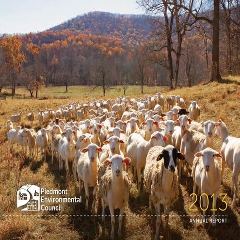 PEC Annual Report for 2013