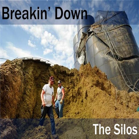 Getting SEO's at the Adult Table with Search Infused Marketing