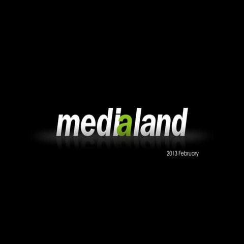 Medialand 2013