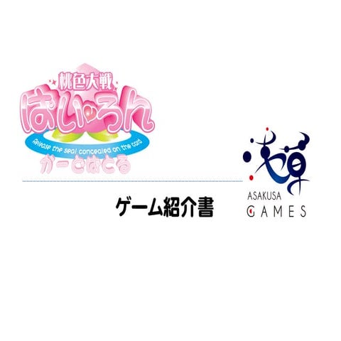 ぱいろんカードバトル ゲーム紹介書 20130226