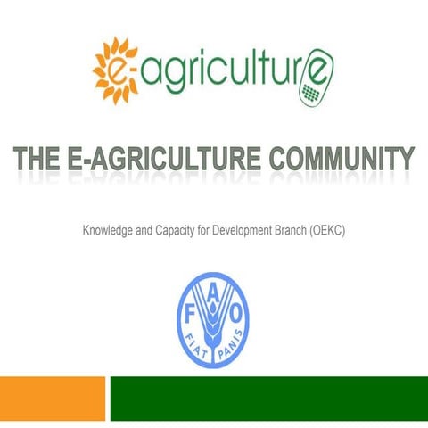 e-Agriculture overview at FAO headquarters