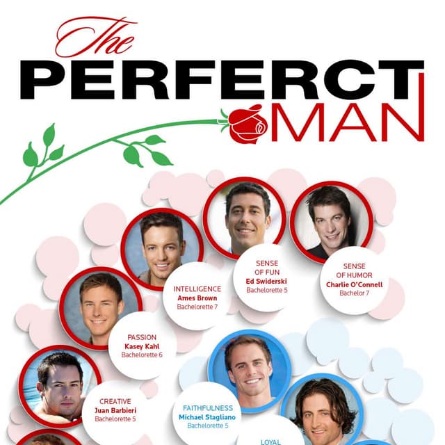 The Perfect Man