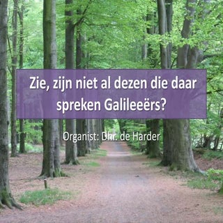  Zie, zijn niet al dezen die daar s...