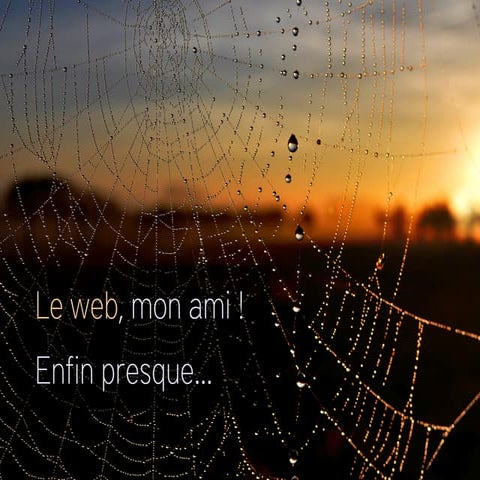 Comment les grands acteurs du web s'improvisent magiciens et jouent avec nos ...