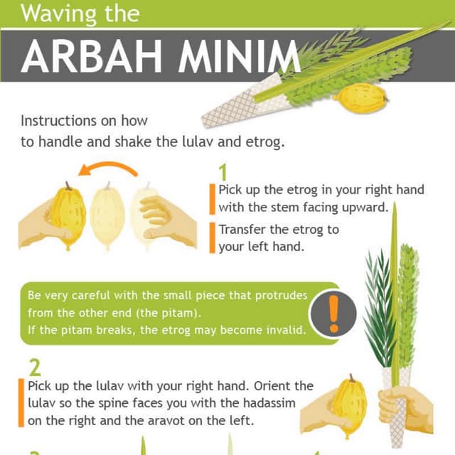 How To Wave The Arba Minim