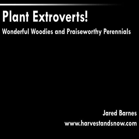 Plant Extroverts! Wonderful Woodies and Praiseworthy Perennials