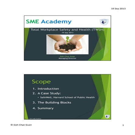 Total Workplace Safety and Health (TWSH)