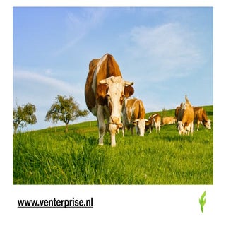 Lezing Floris Venneman tijdens Pink...