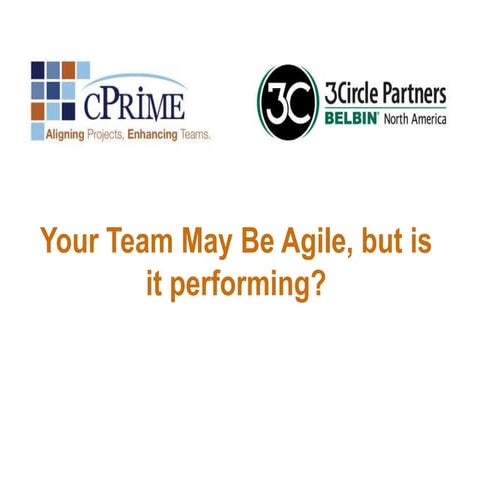 Your Team is Agile, But is it Performing? 