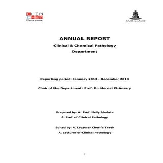2013 ClinChem Annual Report