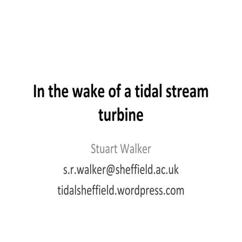 In the wake of a tidal stream turbine