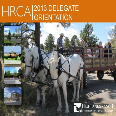 2013 delegate orientation