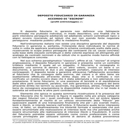 2013 deposito fiduciario in garanziarev