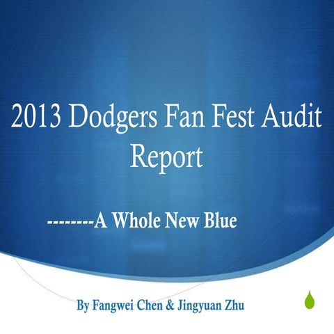2013 fan festaudit report
