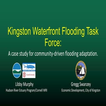 Visions for a Flood Resilient Waterfront: Examples from the Kingston ...