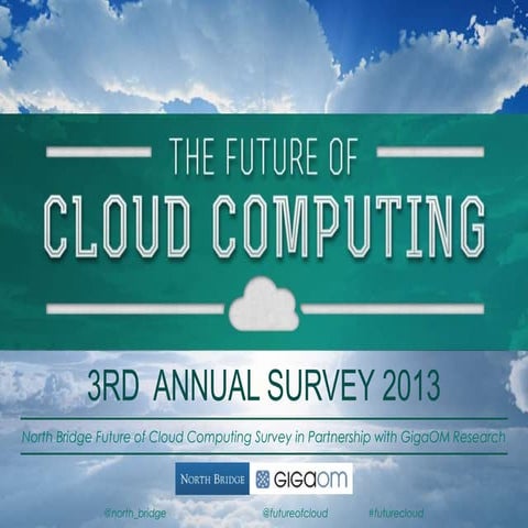 2013 Future of Cloud Computing Study