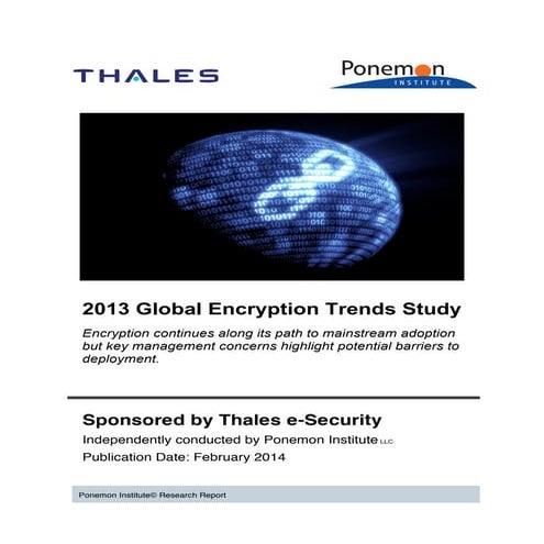 2013 global encryption trends study