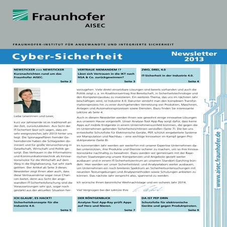 Cyber-Sicherheit - Newsletter 2013