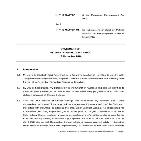 Liz Witehira Submission 2013