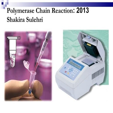 2013 polymerase chain-reaction-shakira sulehri