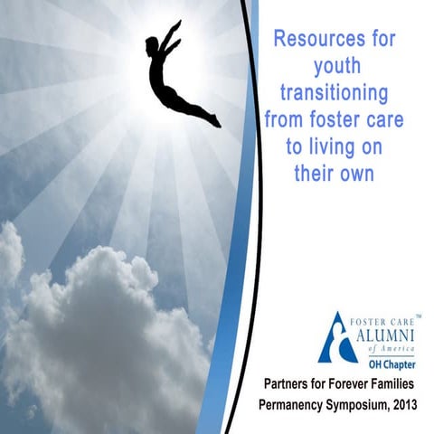 2013 resources for transitional youth