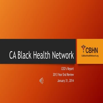 CBHN 2013 Year in Review