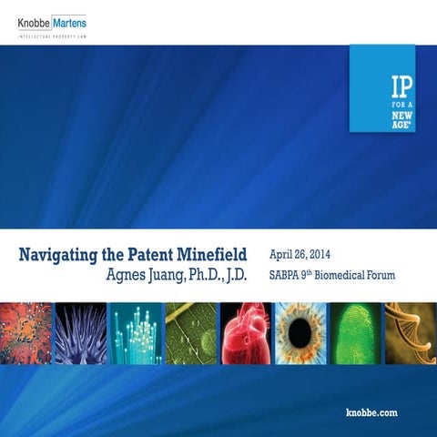 Navigating the Patent Minefield | PPT